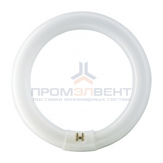 Люминесцентная лампа кольцевая Philips TL-E Circular 22W/54-765 T9 G10q, 216mm
