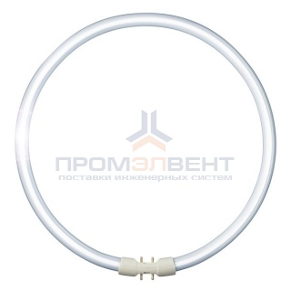 Люминесцентная лампа кольцевая Philips TL5 Circular 60W/840 2GX13, D379mm